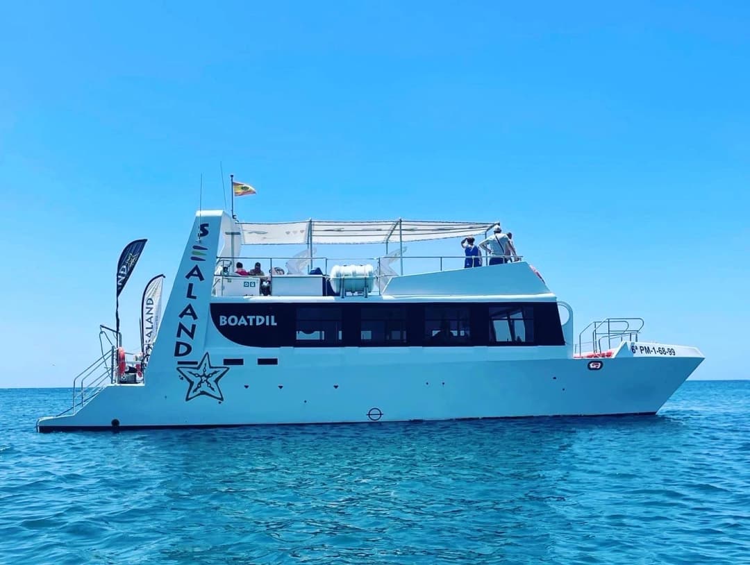 main image of the excursion Sealand Catamaran